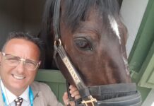 Varenne, 31 anni del mito del trotto: il ricordo del suo manager di carriera agonistica Rolando Luzi Varenne_cavallo_ippica