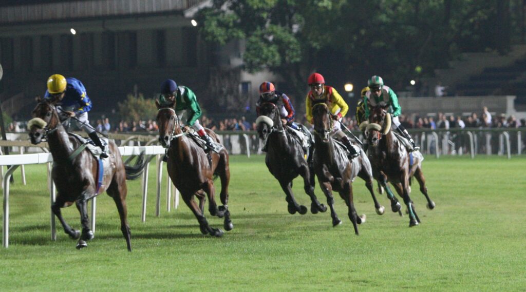 Jockeys in colorful silks race on galloping horses along a turf track at night, Rails in foreground and a blurred crowd in the background.