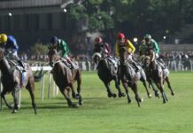 Ippica, programma corse venerdì 19 giugno Ippodromo Snai San Siro Jockeys in colorful silks race on galloping horses along a turf track at night, Rails in foreground and a blurred crowd in the background.