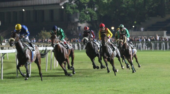 NOTTURNA GALOPPO IPPODROMO SNAI SAN SIRO MILANO Jockeys in colorful silks race on galloping horses along a turf track at night, Rails in foreground and a blurred crowd in the background.
