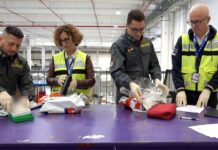 Aeroporto di Malpensa, operazione congiunta di ADM e GDF: sequestrati capi d’abbigliamento e borse contraffatte Sequestro