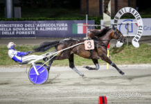 Ippodromo di Cesena: sabato 20 giugno sette corse, Premio Club Ippodromo clou della serata arrivo clou_pr club ippodromo2025