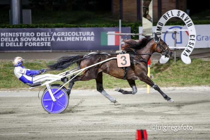 arrivo clou_pr club ippodromo2025 arrivo clou_pr club ippodromo2025